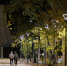 220124park - ИА ПроКотовск