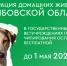 Владельцам домашних животных из Котовска напоминают о необходимости чипирования своих питомцев - ИА ПроКотовск