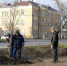 В Котовске высадили 46 саженцев липы в рамках городской программы благоустройства - ИА ПроКотовск